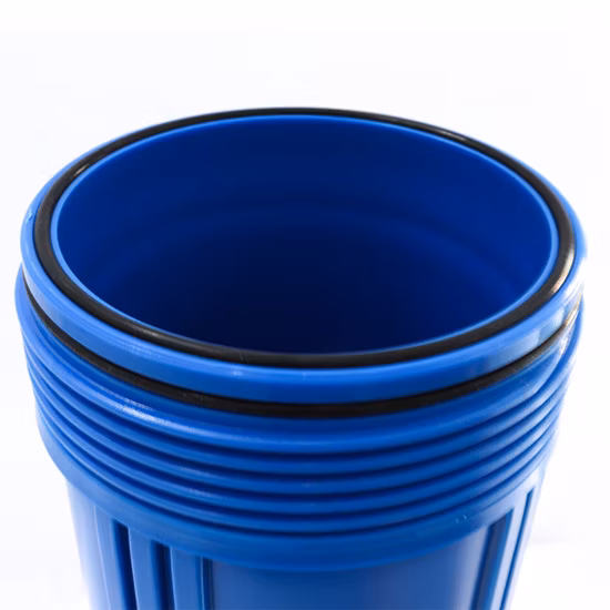 10inches Jumbo Backwash Water Filter Housing