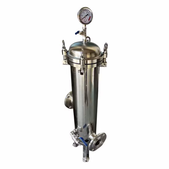 30 Inches Sanitary Stainless Steel 304 / 316L Liquid Filter Housing